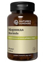 Моринда НСП. Morinda NSP